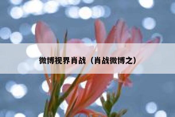 微博视界肖战(肖战微博之) 第1张 微博视界肖战(肖战微博之) 第1张