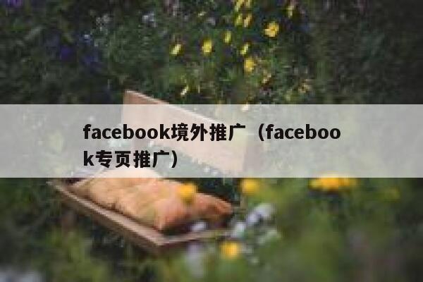 facebook境外推广（facebook专页推广） 第1张