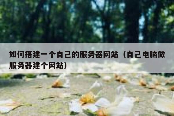 如何搭建一个自己的服务器网站(自己电脑做服务器建个网站) 第1张 如何搭建一个自己的服务器网站(自己电脑做服务器建个网站) 第1张