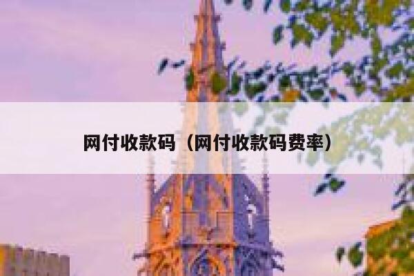 网付收款码（网付收款码费率） 第1张
