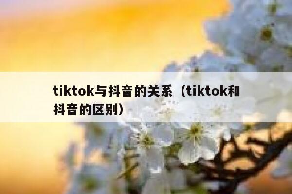 tiktok与抖音的关系（tiktok和抖音的区别） 第1张
