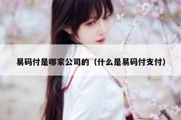 易码付是哪家公司的（什么是易码付支付） 第1张
