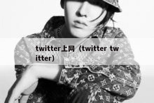 twitter上网(twitter twitter) 第1张 twitter上网(twitter twitter) 第1张