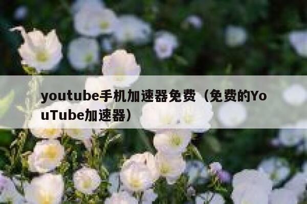 youtube手机加速器免费（免费的YouTube加速器） 第1张