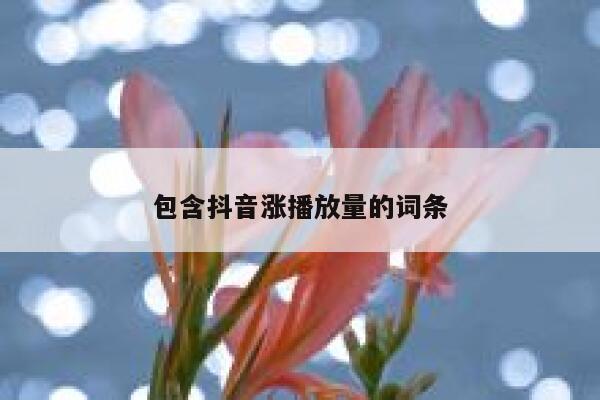 包含抖音涨播放量的词条 第1张