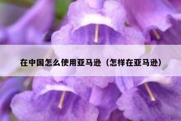 在中国怎么使用亚马逊（怎样在亚马逊） 第1张