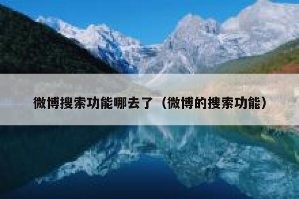 微博搜索功能哪去了（微博的搜索功能） 第1张