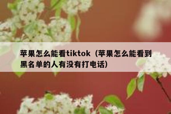 苹果怎么能看tiktok（苹果怎么能看到黑名单的人有没有打电话） 第1张