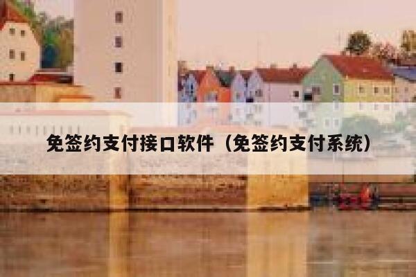 免签约支付接口软件（免签约支付系统） 第1张