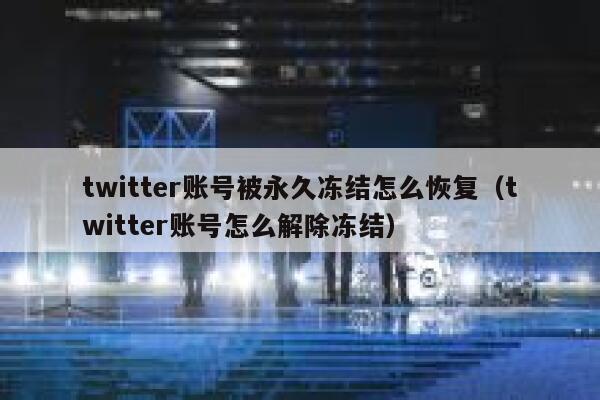 twitter账号被永久冻结怎么恢复（twitter账号怎么解除冻结） 第1张