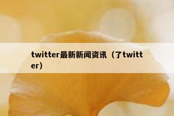 twitter最新新闻资讯（了twitter） 第1张