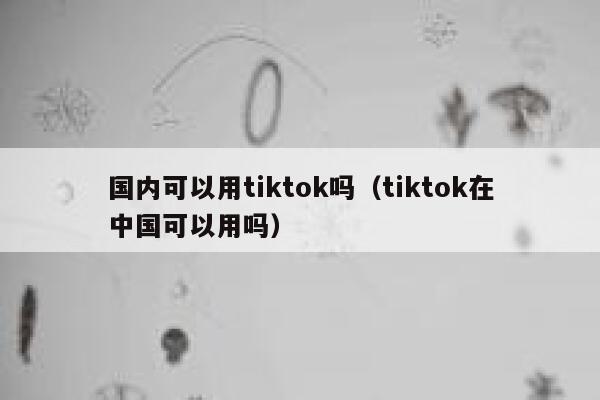 国内可以用tiktok吗（tiktok在中国可以用吗） 第1张