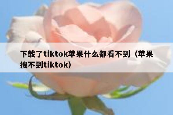 下载了tiktok苹果什么都看不到（苹果搜不到tiktok） 第1张