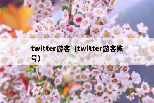 twitter游客（twitter游客账号） 第1张