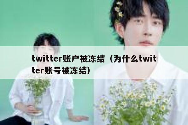 twitter账户被冻结（为什么twitter账号被冻结） 第1张