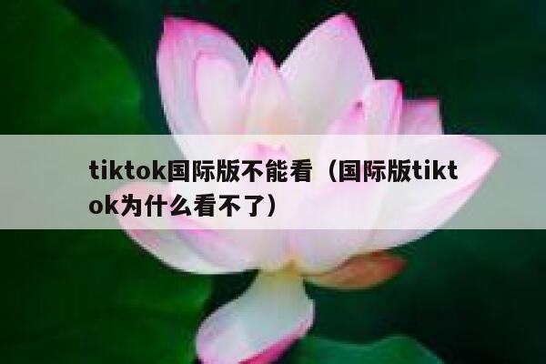tiktok国际版不能看（国际版tiktok为什么看不了） 第1张