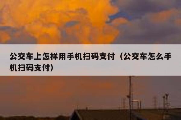 公交车上怎样用手机扫码支付（公交车怎么手机扫码支付） 第1张