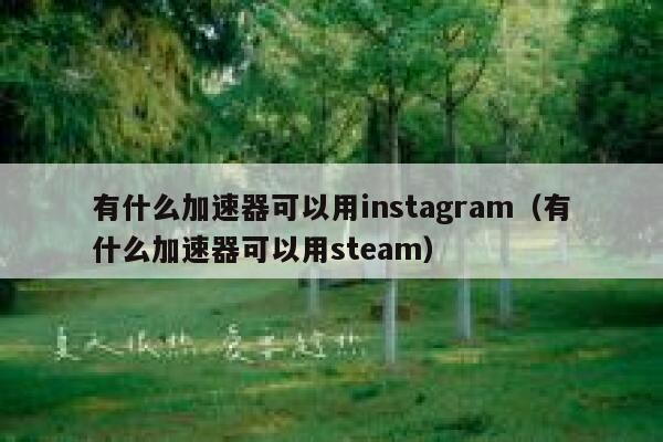有什么加速器可以用instagram（有什么加速器可以用steam） 第1张