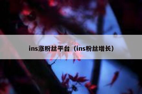 ins涨粉丝平台（ins粉丝增长） 第1张