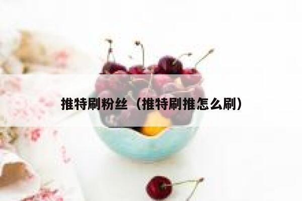 推特刷粉丝（推特刷推怎么刷） 第1张