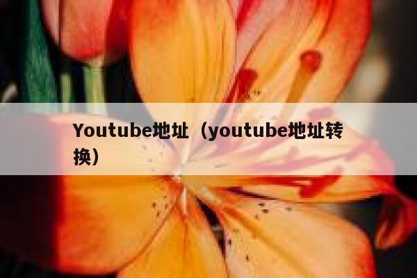 Youtube地址（youtube地址转换） 第1张