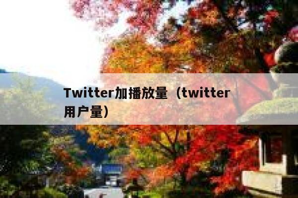 Twitter加播放量（twitter 用户量） 第1张