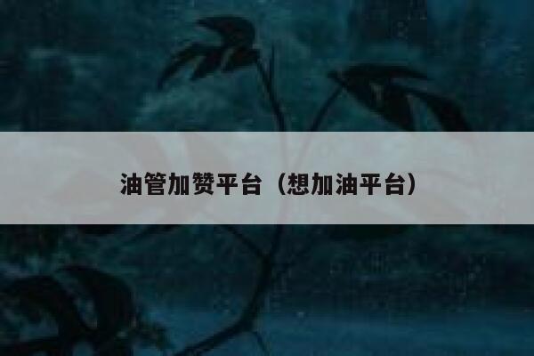 油管加赞平台（想加油平台） 第1张