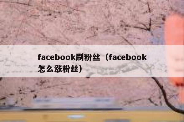 facebook刷粉丝（facebook怎么涨粉丝） 第1张