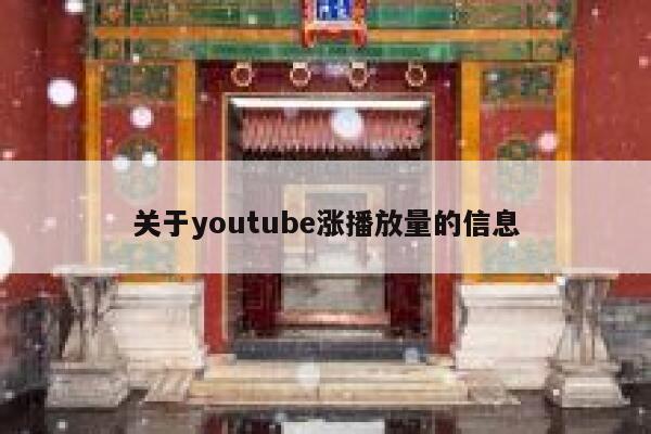 关于youtube涨播放量的信息 第1张