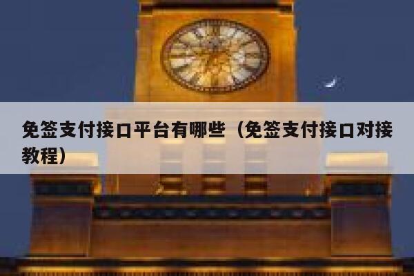 免签支付接口平台有哪些（免签支付接口对接教程） 第1张