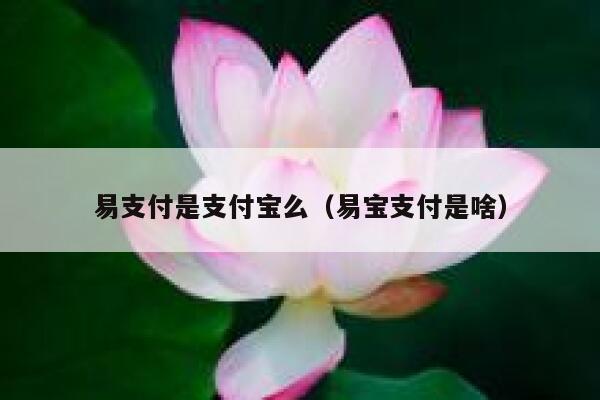 易支付是支付宝么（易宝支付是啥） 第1张