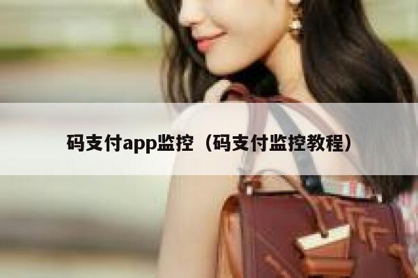 码支付app监控（码支付监控教程） 第1张