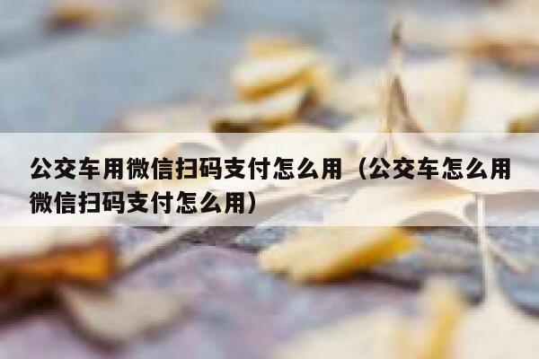 公交车用微信扫码支付怎么用（公交车怎么用微信扫码支付怎么用） 第1张