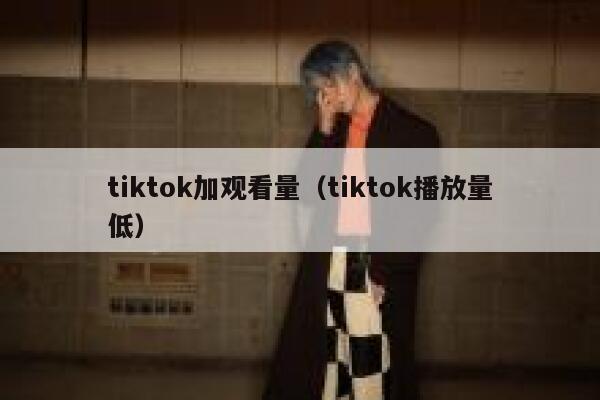 tiktok加观看量（tiktok播放量低） 第1张