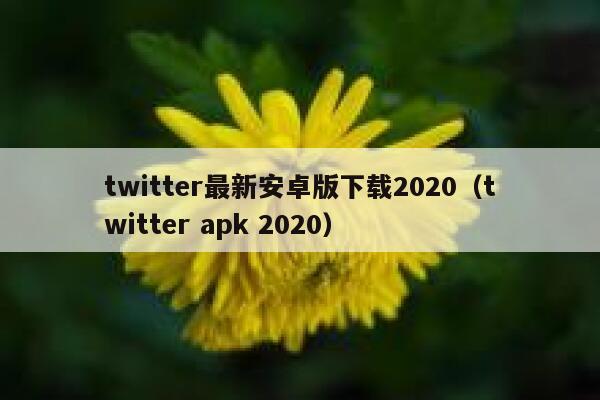 twitter最新安卓版下载2020(twitter apk 2020) 第1张 twitter最新安卓版下载2020(twitter apk 2020) 第1张