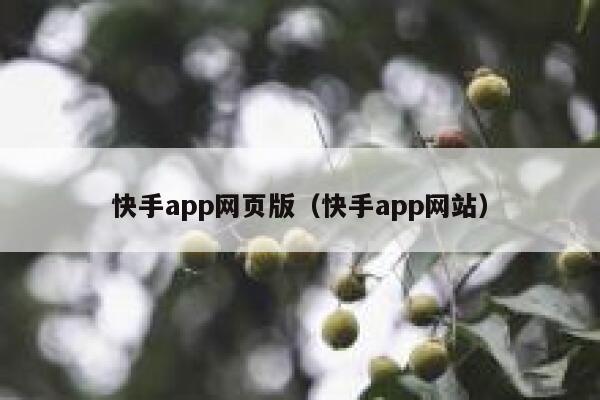快手app网页版（快手app网站） 第1张