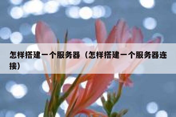 怎样搭建一个服务器（怎样搭建一个服务器连接） 第1张