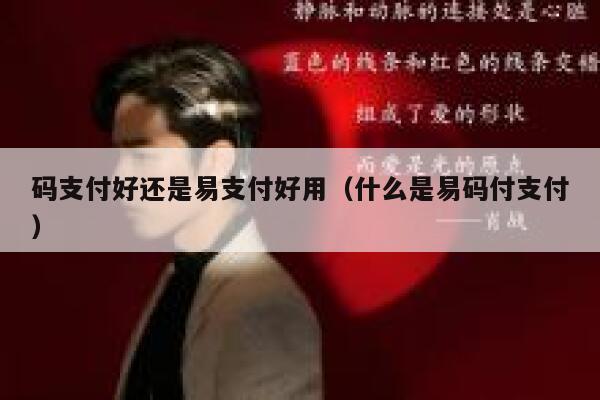码支付好还是易支付好用（什么是易码付支付） 第1张