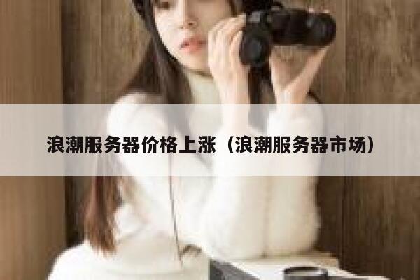 浪潮服务器价格上涨（浪潮服务器市场） 第1张