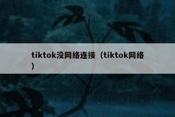 tiktok没网络连接（tiktok网络） 第1张