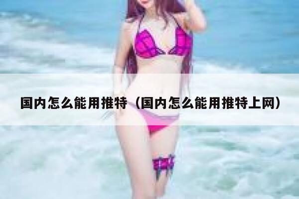 国内怎么能用推特（国内怎么能用推特上网） 第1张