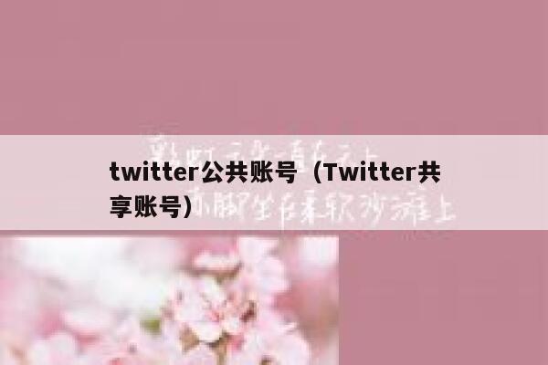 twitter公共账号（Twitter共享账号） 第1张