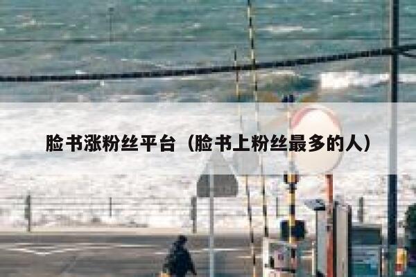 脸书涨粉丝平台（脸书上粉丝最多的人） 第1张