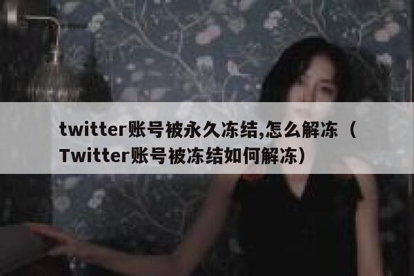 twitter账号被永久冻结,怎么解冻（Twitter账号被冻结如何解冻） 第1张