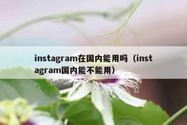 instagram在国内能用吗（instagram国内能不能用） 第1张