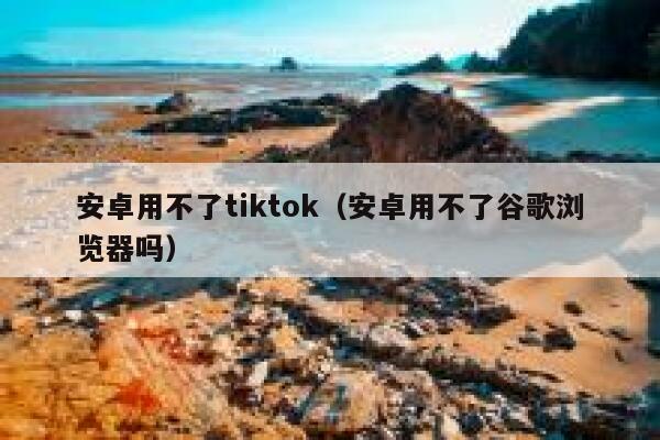 安卓用不了tiktok（安卓用不了谷歌浏览器吗） 第1张