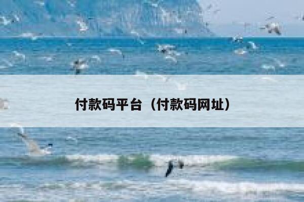 付款码平台（付款码网址） 第1张