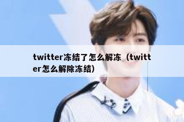 twitter冻结了怎么解冻（twitter怎么解除冻结） 第1张