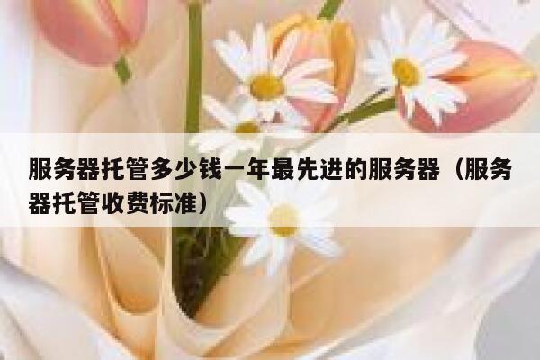 服务器托管多少钱一年最先进的服务器（服务器托管收费标准） 第1张