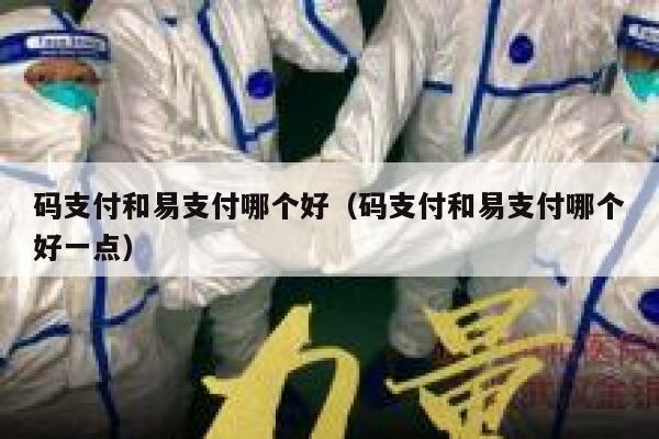 码支付和易支付哪个好（码支付和易支付哪个好一点） 第1张